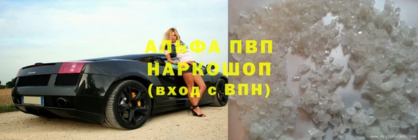 дживик Белокуриха