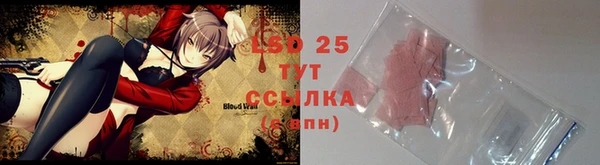 гашик Белоозёрский