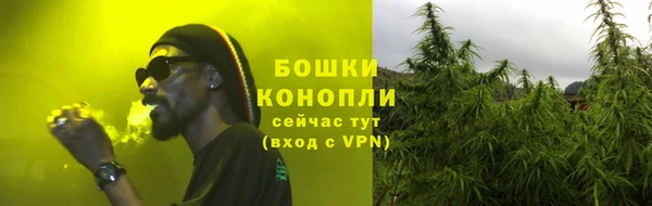 дживик Белокуриха