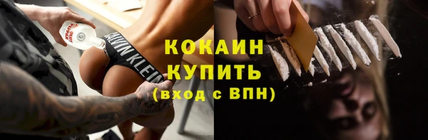 дживик Белокуриха