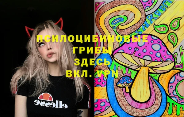 дживик Белокуриха