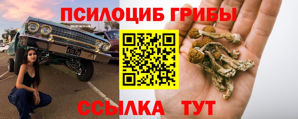 Дагестанские Огни  Псилоцибиновые грибы Psilocybe  Псилоцибиновые грибы мухоморы  Вход с VPN 